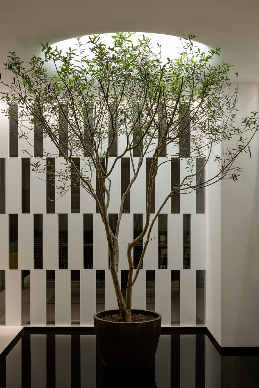 新作|境唐设计 • 行皆有境-74