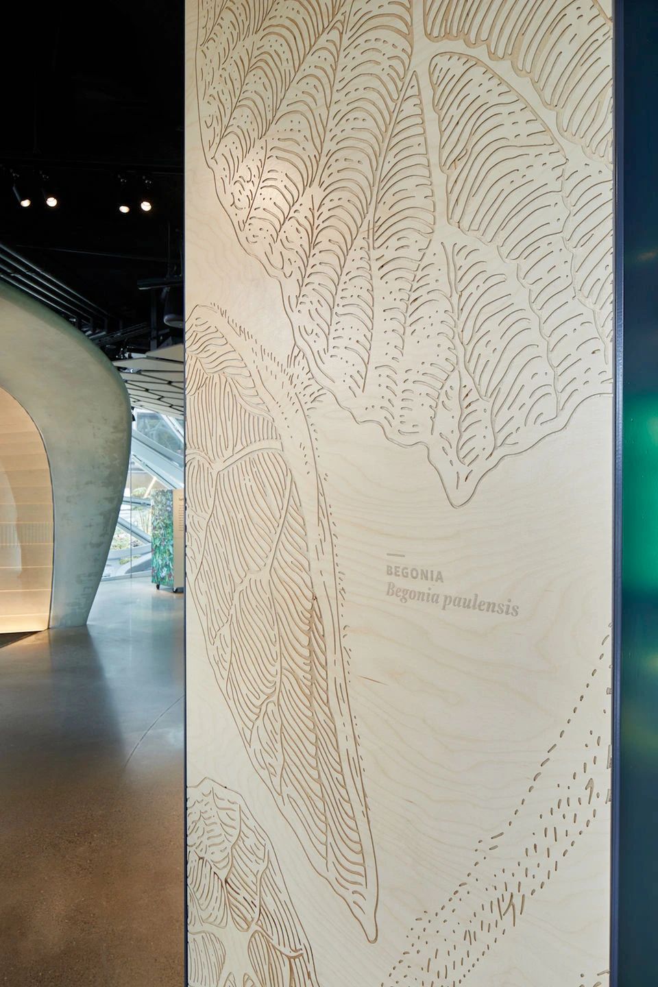 自然与建筑 · 球体的故事-58