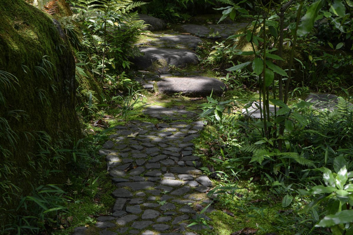 根津美术馆丨日本丨隈研吾-0