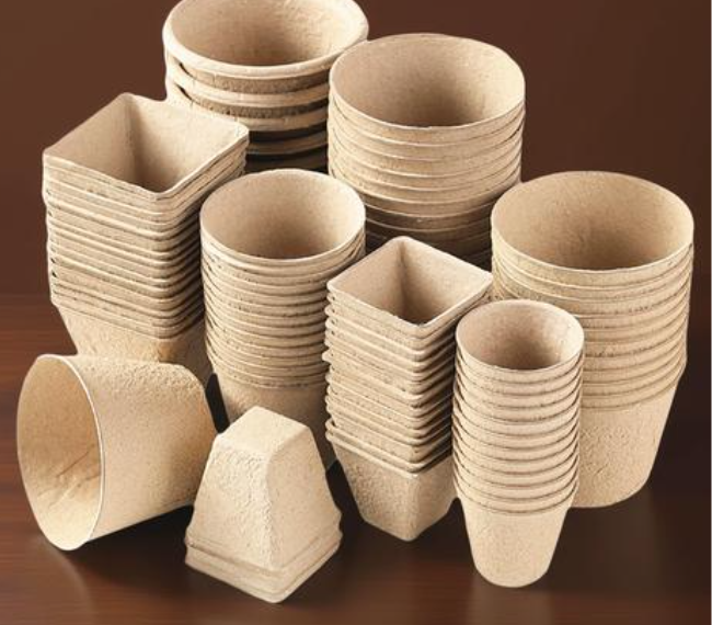 打造家门口的“生态绿岛”！中建八局胶州云溪河护城河绿廊项目顺利竣工-50