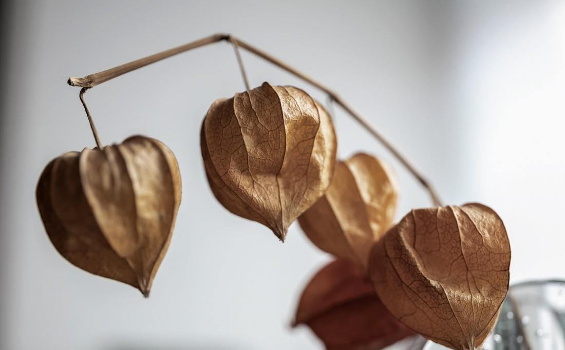 木子仁室内设计 · 简约至美,主卧衣帽间设计-0