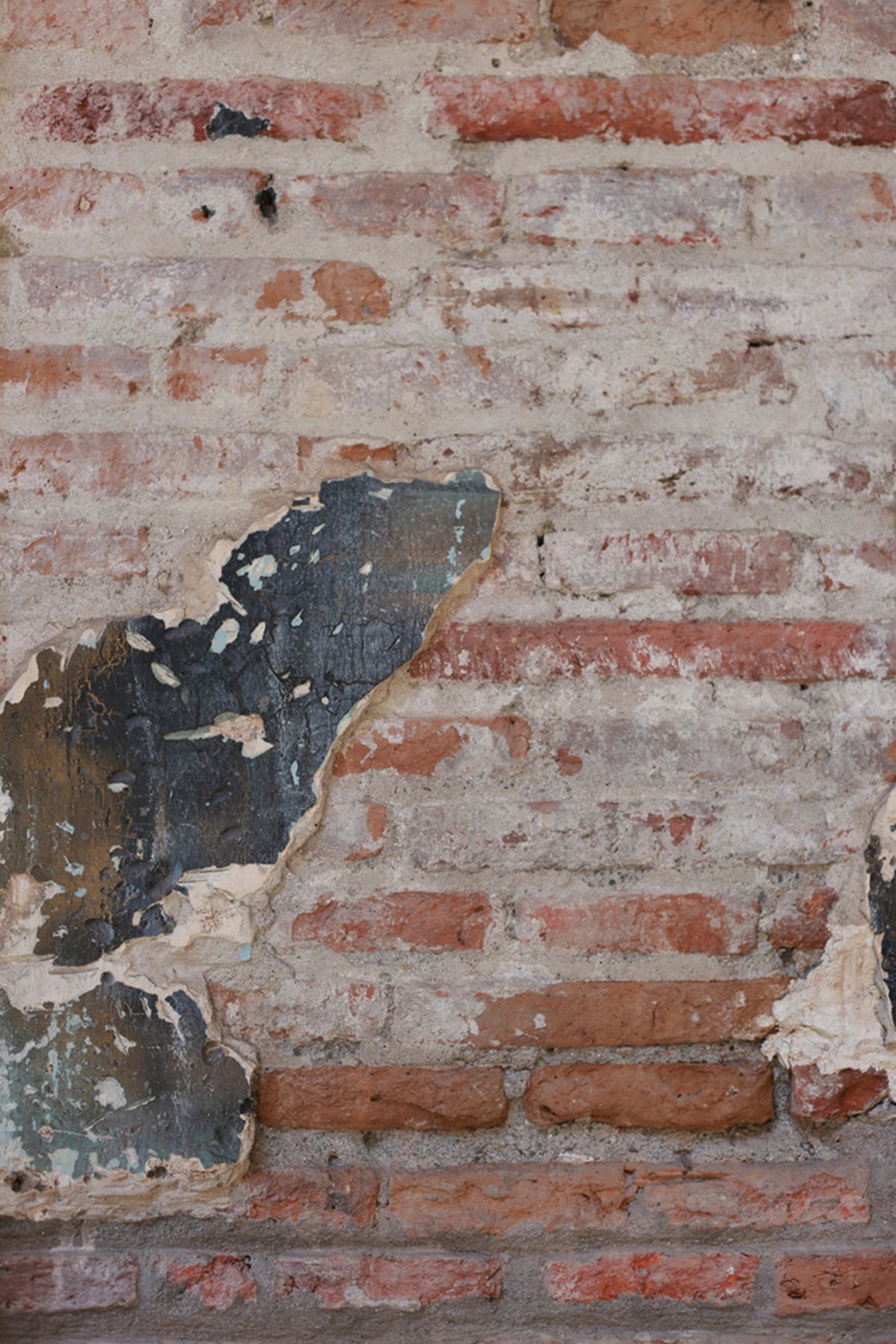 智利历史建筑 Palacio Pereira 的现代复兴-7