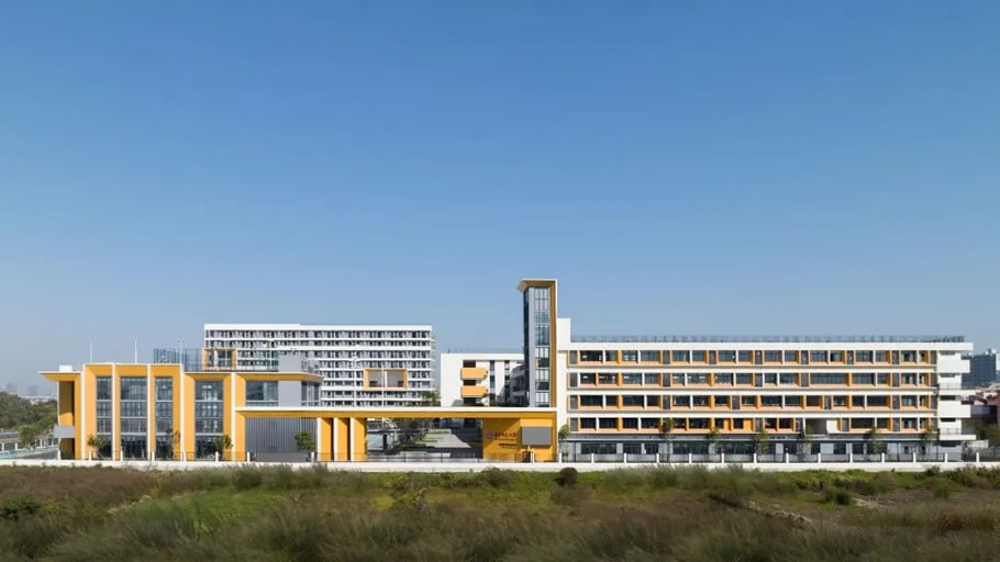 华东师范大学附属顺德美的学校（一期）丨中国佛山丨广东天元建筑设计有限公司（睿住天元）-4