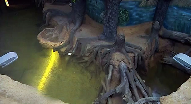 Воронеже 之「Дом бобра」建设丨Аква Лого инжиниринг-7