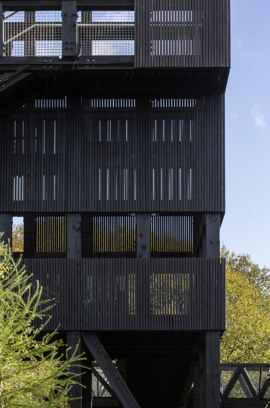 康宁加环的博西和图尔丨英国丨jmarchitects-18