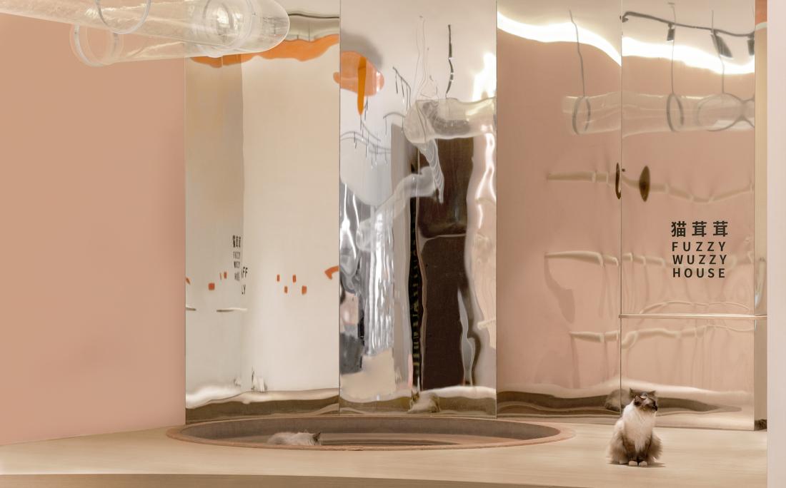 喵星人入侵 · 猫咪共享空间丨中国青岛丨黄士华-31