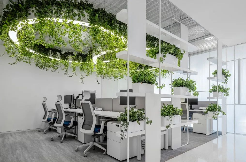 北京博华资本有限公司办公空间丨中国北京-21