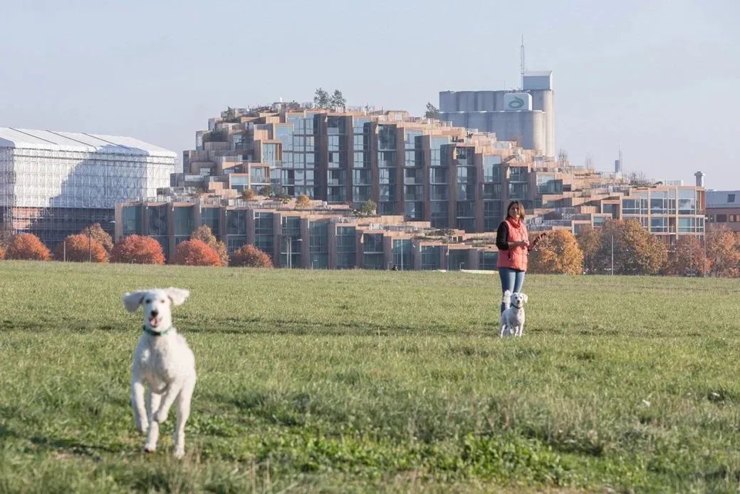 中外的“第四代住宅”的深度案例总丨中国上海丨上海天华-4
