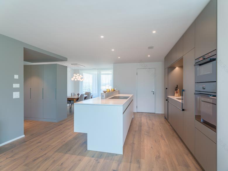 Florian Voemel Architekten AG丨Juchweg丨瑞士-5