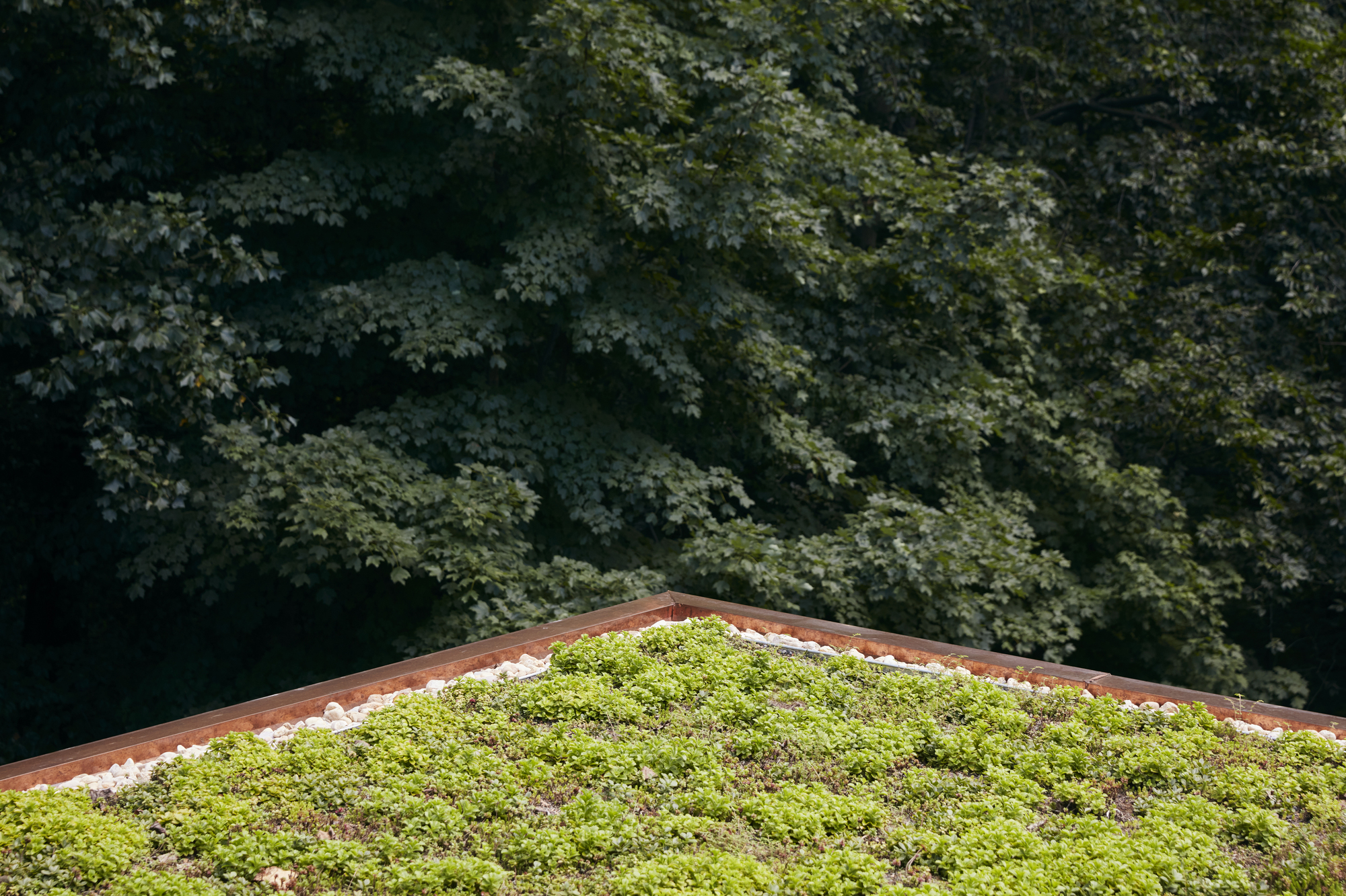 白杨云屋丨美国华盛顿丨BLDUS-23