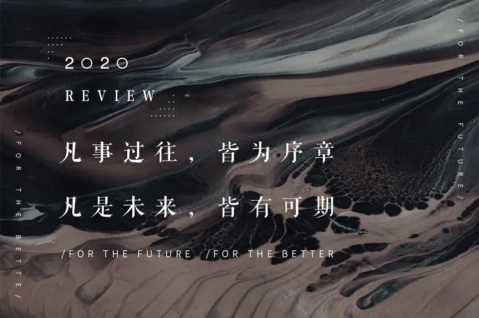 逆水行舟,再攀高峰——SNP 2020 年度回顾-0