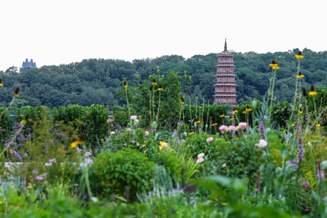 武商梦时代丨中国武汉丨中信建筑设计研究总院-67