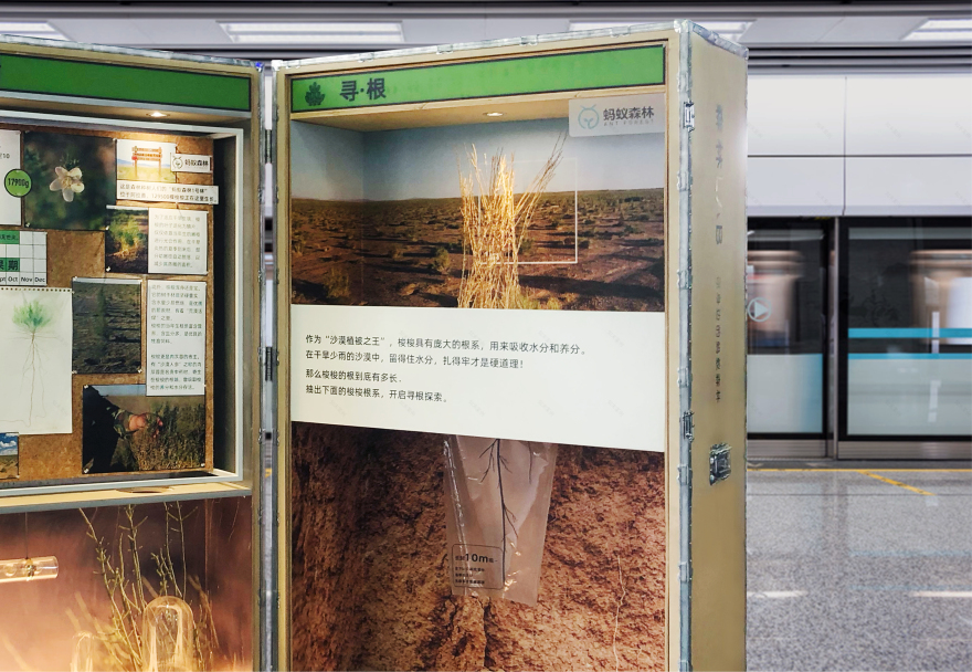 《森林LAB · 城市里的荒漠森林》互动展览丨中国杭州丨蚂蚁森林×不是美术馆-41