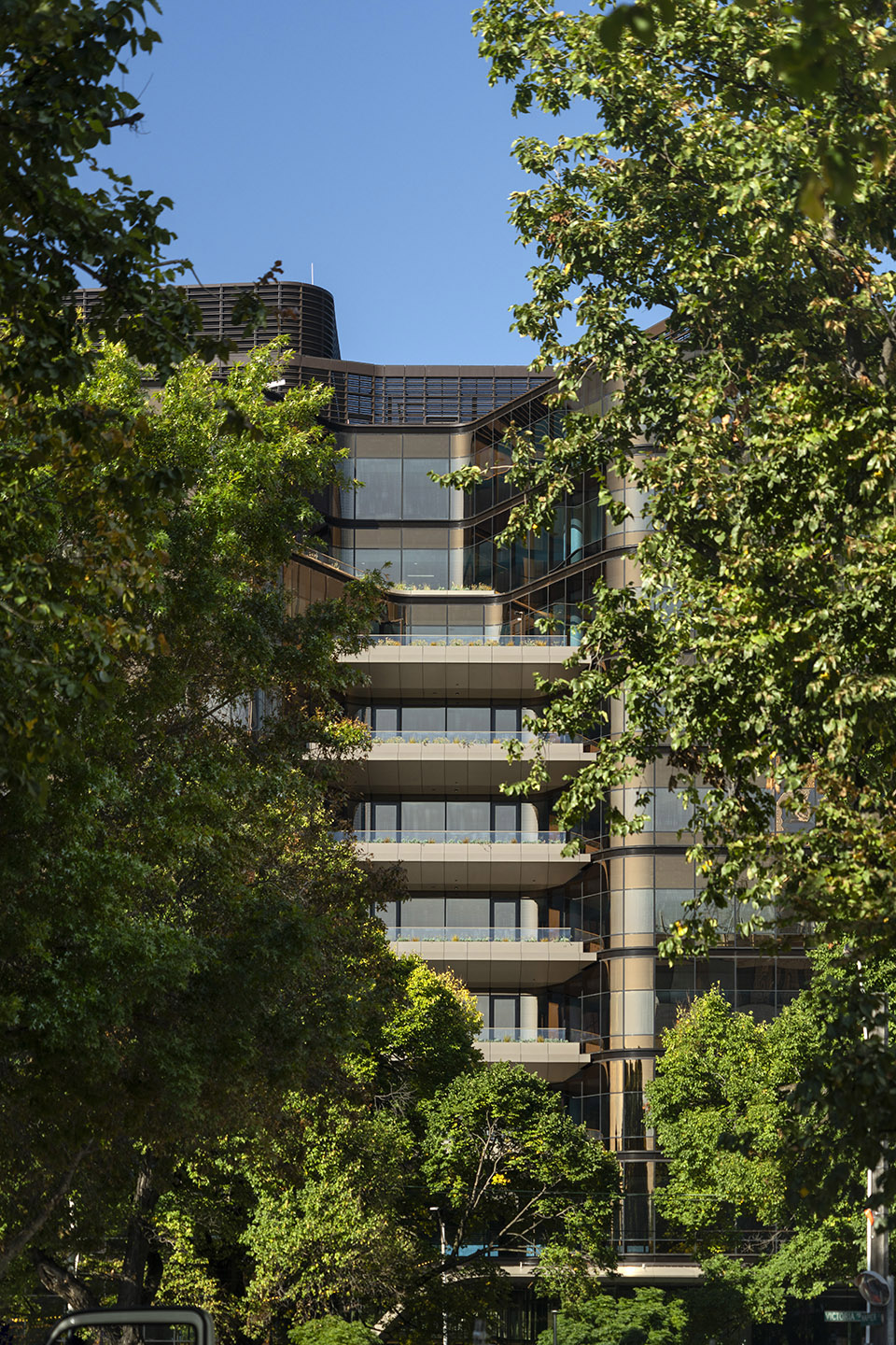 澳大利亚维多利亚大道 200 号大楼丨澳大利亚墨尔本丨Bower Bird-35