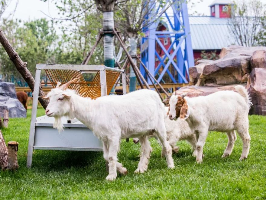 210000m²襄阳夜游新地标!一秒穿越山海经-79