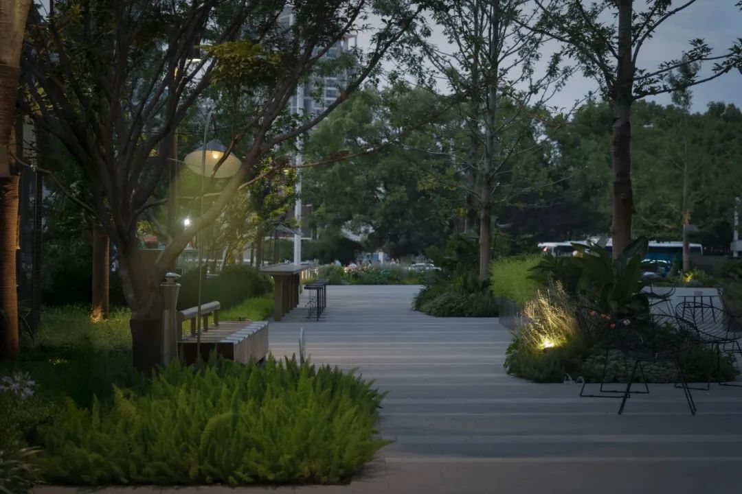 外呈中正之礼内显天然雅趣|未来中心C2·揽境-66