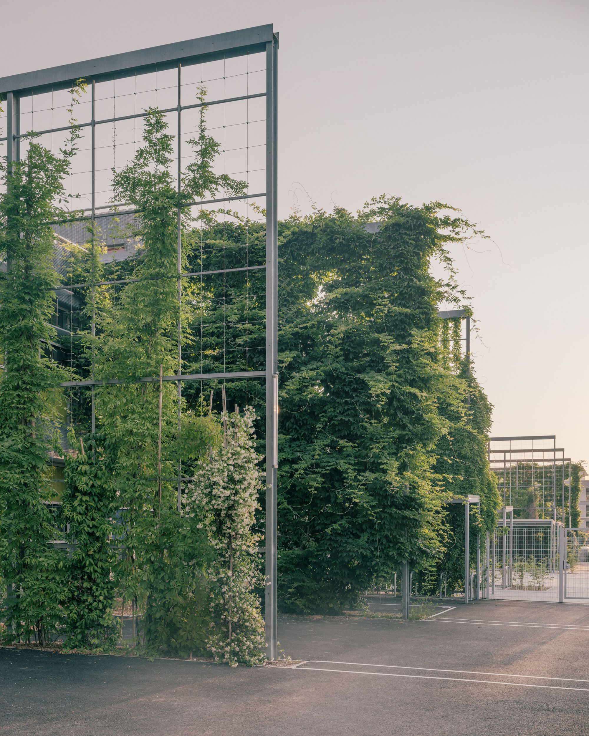 Anne Frank 中学改造丨法国丨MARS Architectes-40