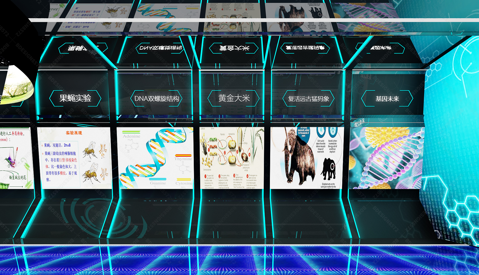 科普馆设计,生物展厅设计,学校展厅设计-3