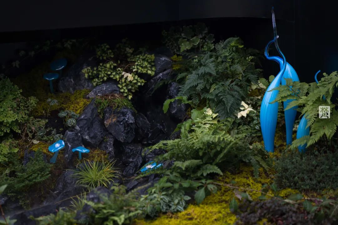 麓湖 B2 黑鉐样板岛丨中国成都丨乐道景观-99