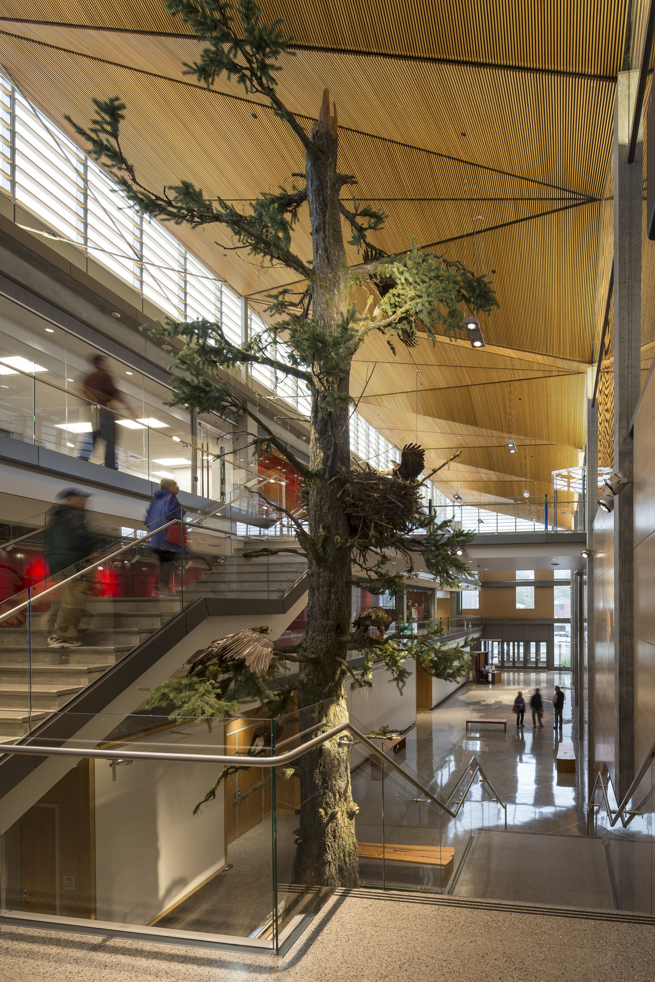 阿拉斯加国家图书馆档案博物馆丨美国波特兰丨Hacker Architects-32