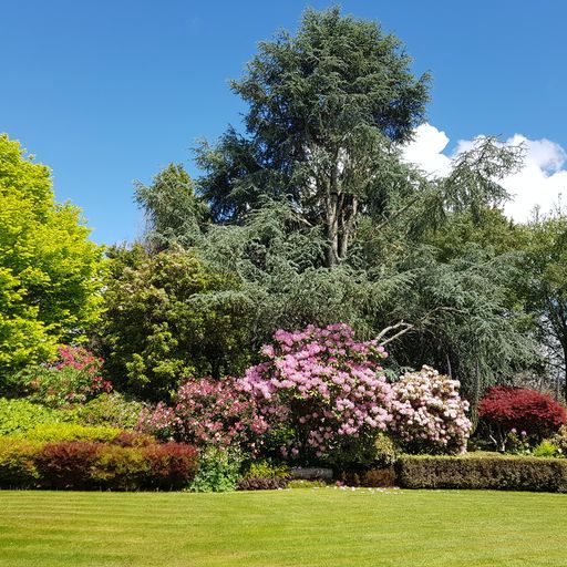 Omaka Lodge花园丨Chris（景观及室内设计师）-2