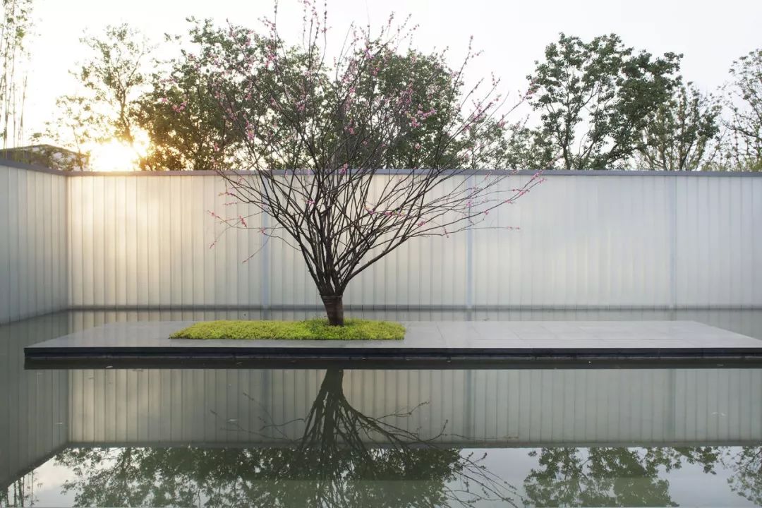 《雁归来》 | 水乡文化的现代解读-70