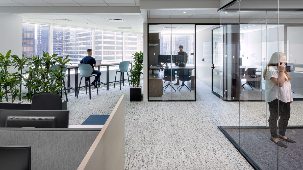 金融服务公司，纽约 -8