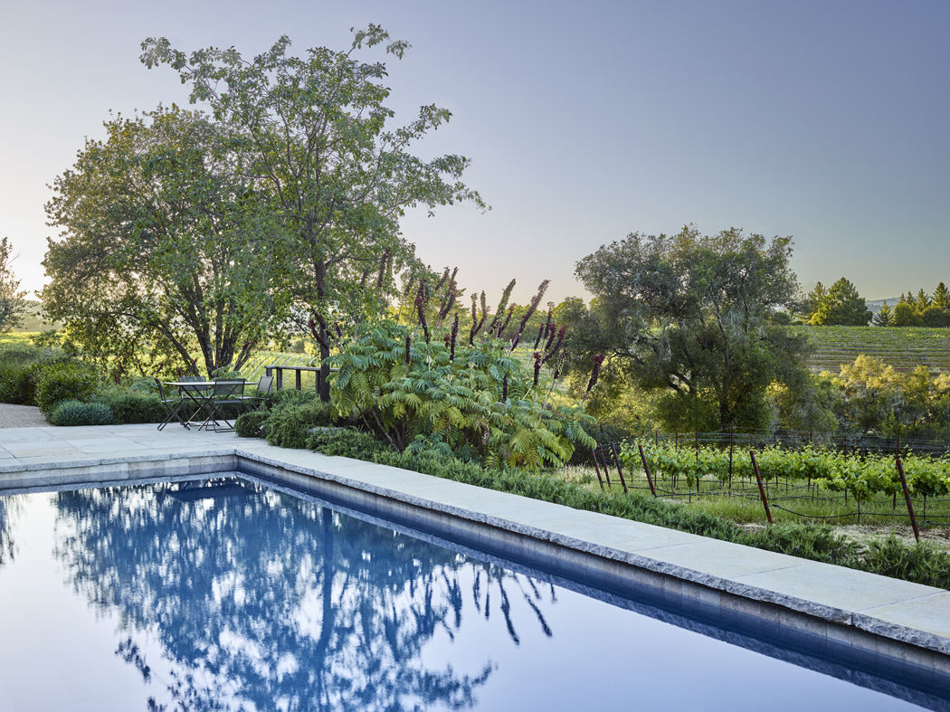 加州希尔兹堡,新旧交汇的野趣庄园 / Lucas & Lucas-34