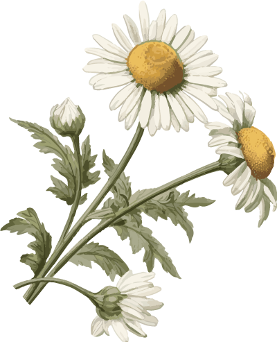 心归观玥，美好筑家，中建·观玥园林示范区暨实体样板房开放-17