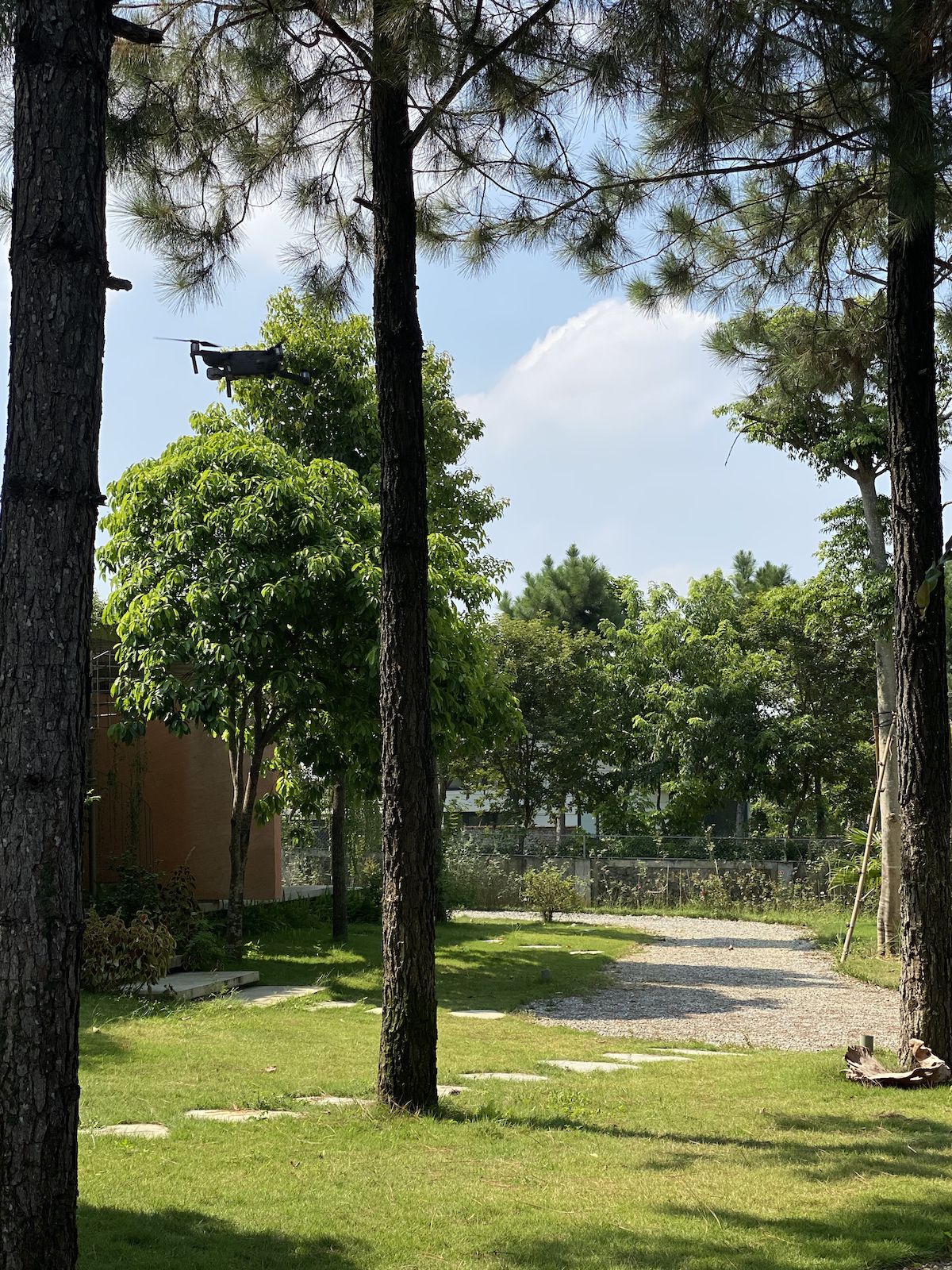 Ba Vì森林中的开放互动生活空间-30