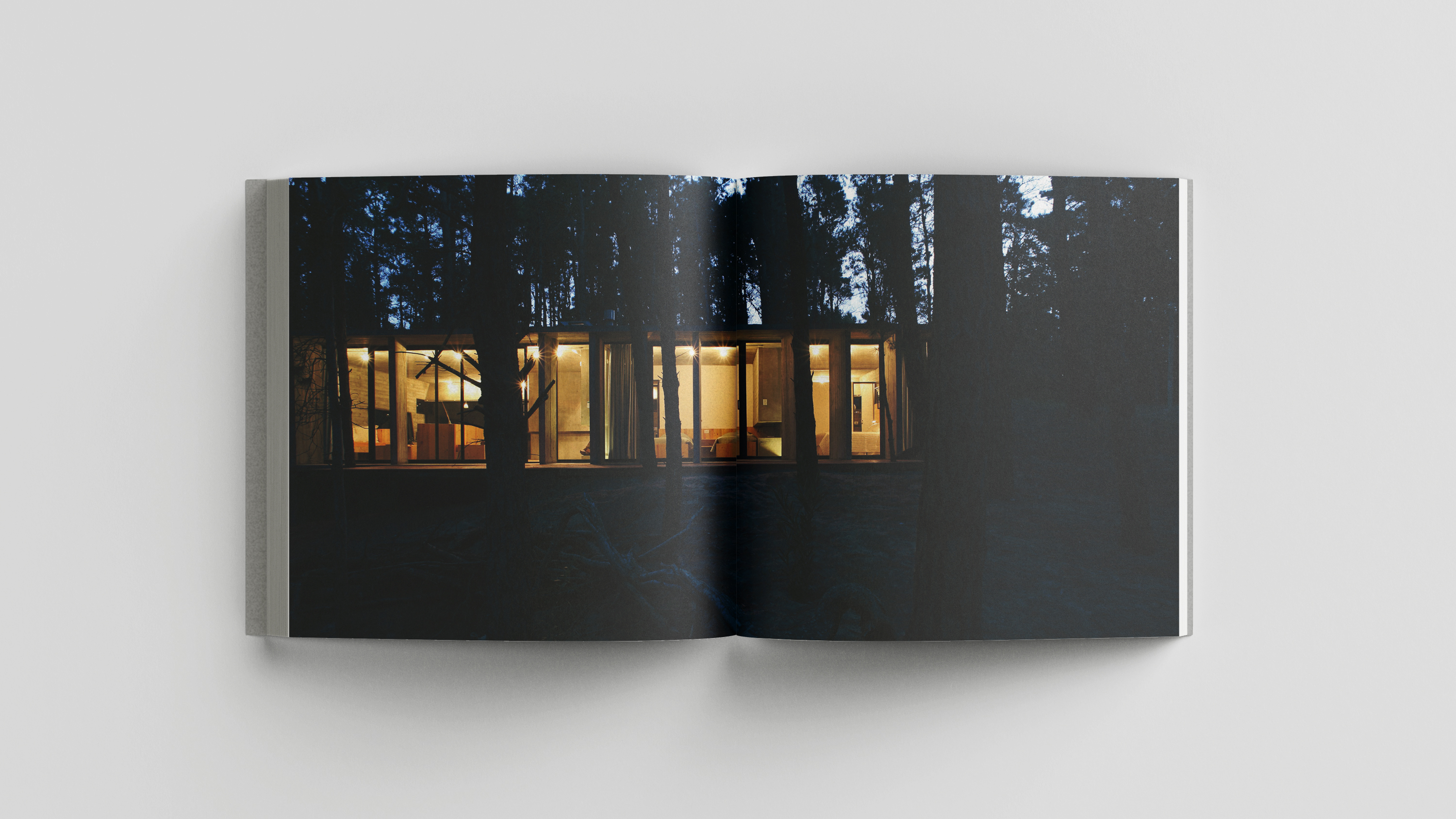 具体自然丨阿根廷-23