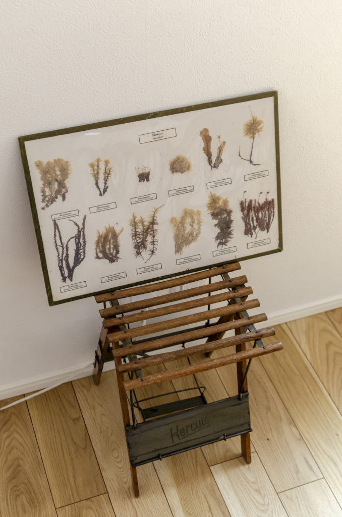 人を招く創作スペース年月を経て味わいを増す自分らしさを表現する空間 | Style of Life | 100%LiFE-12