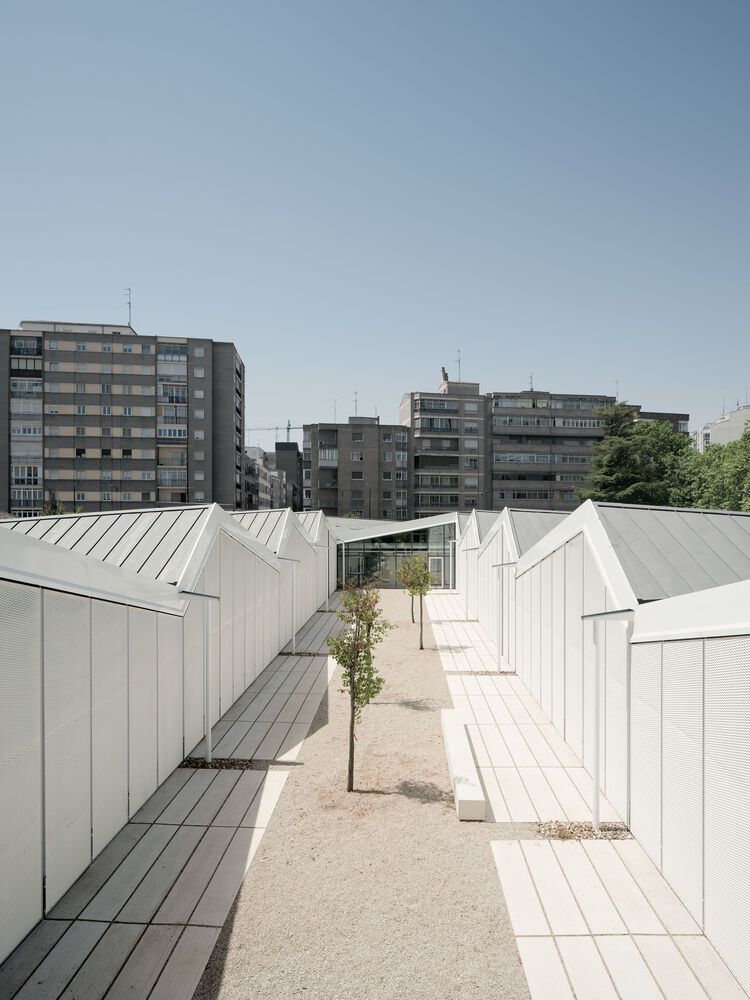 巴利亚多利德艺术学校丨西班牙巴利亚多利德丨Estudio Primitivo Gonzalez | eGa-8