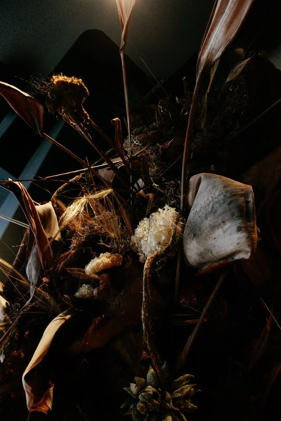 动 词的再製  地質,地貌丨中国台北-23