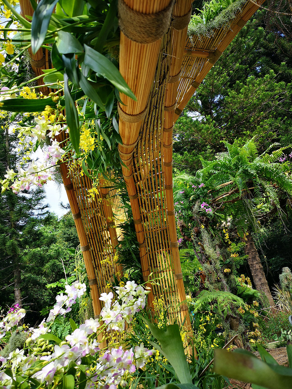 深圳 “种子”现代竹编装置-55