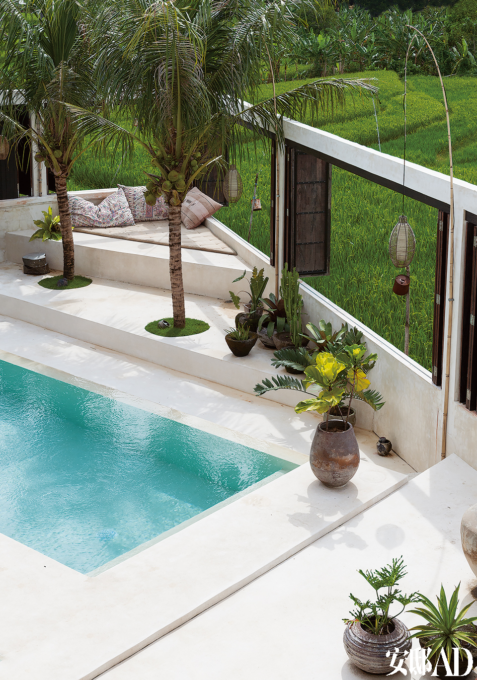 住在巴厘岛的一对工作狂-13