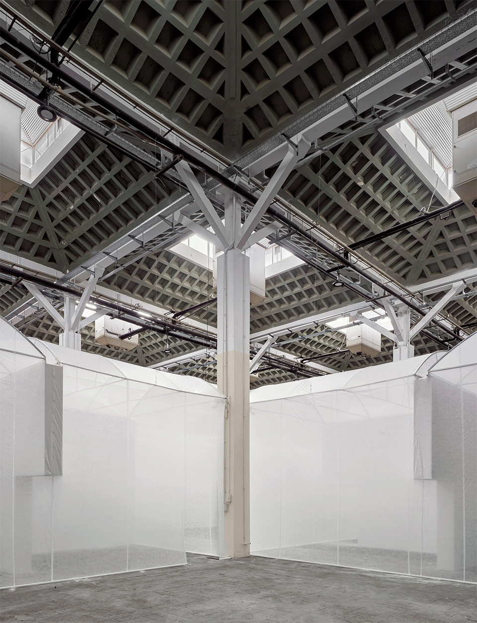 加泰罗尼亚博物馆栖息地展览设计丨西班牙丨Lluís Alexandre Casanovas Blanco-29