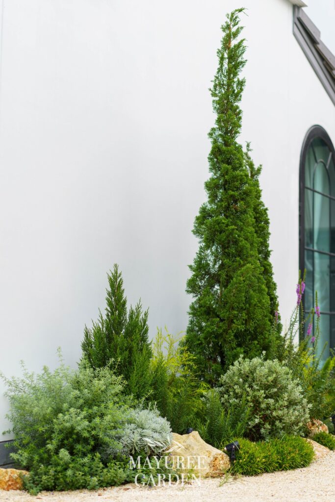 营造海滩氛围的家庭花园设计丨Mayuree Garden-33