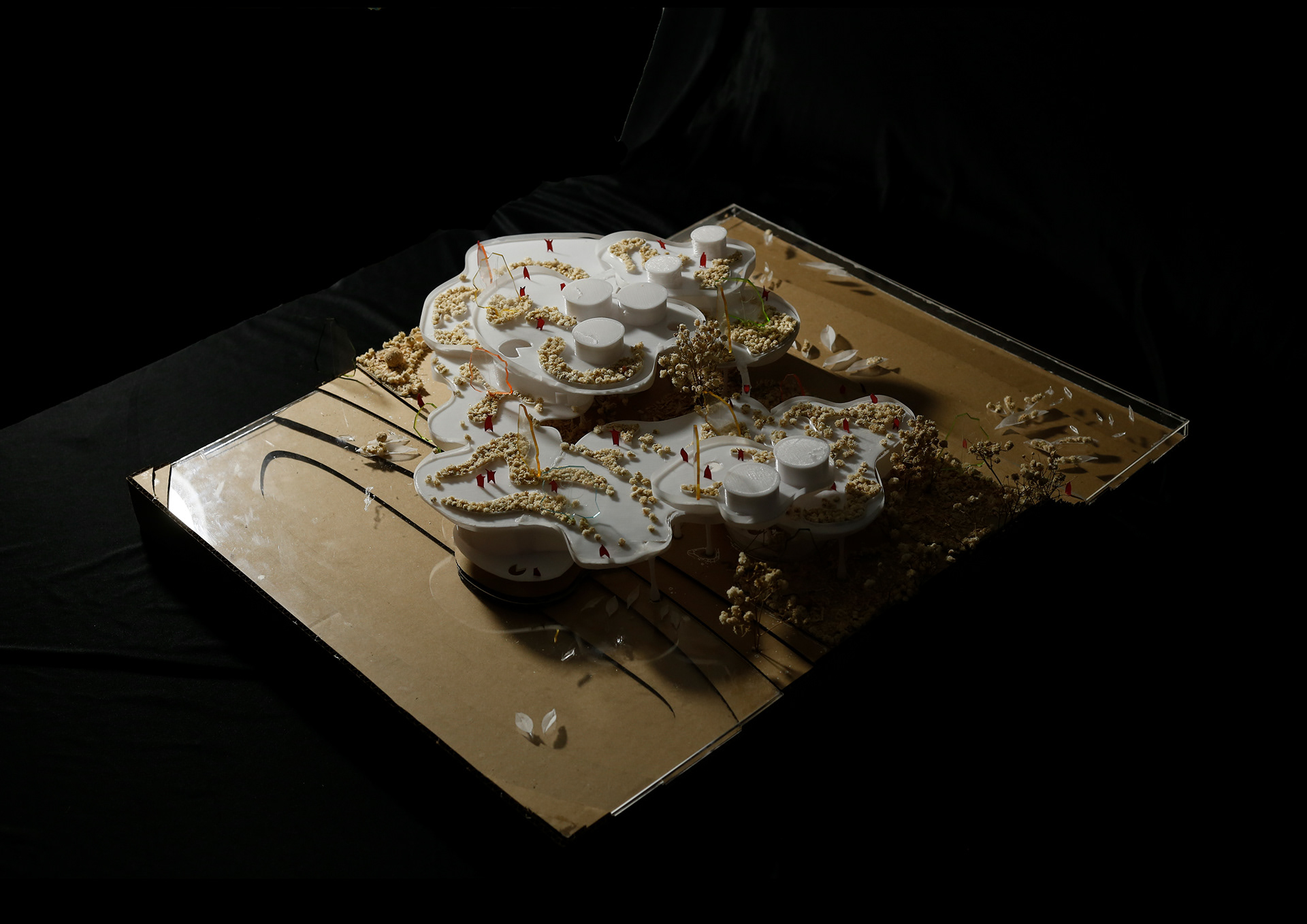 EXHIBITION CENTERS & PROMOTION OF AGRICULTURAL PRODUCTS-30