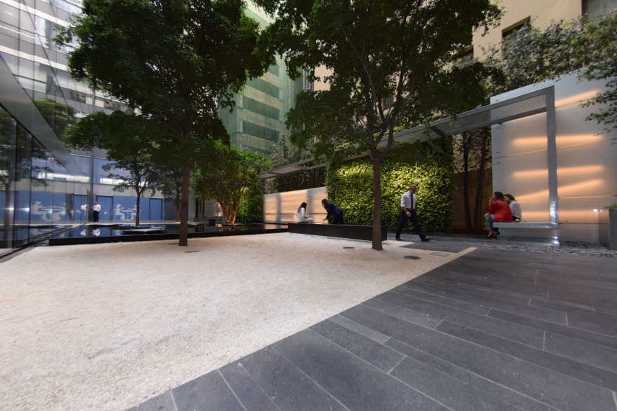 绿意盎然的城市花园-38