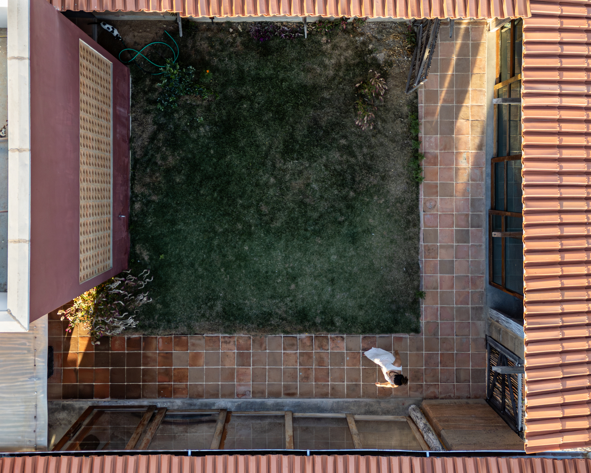 丨巴西伯南布哥丨AzulPitanga-42