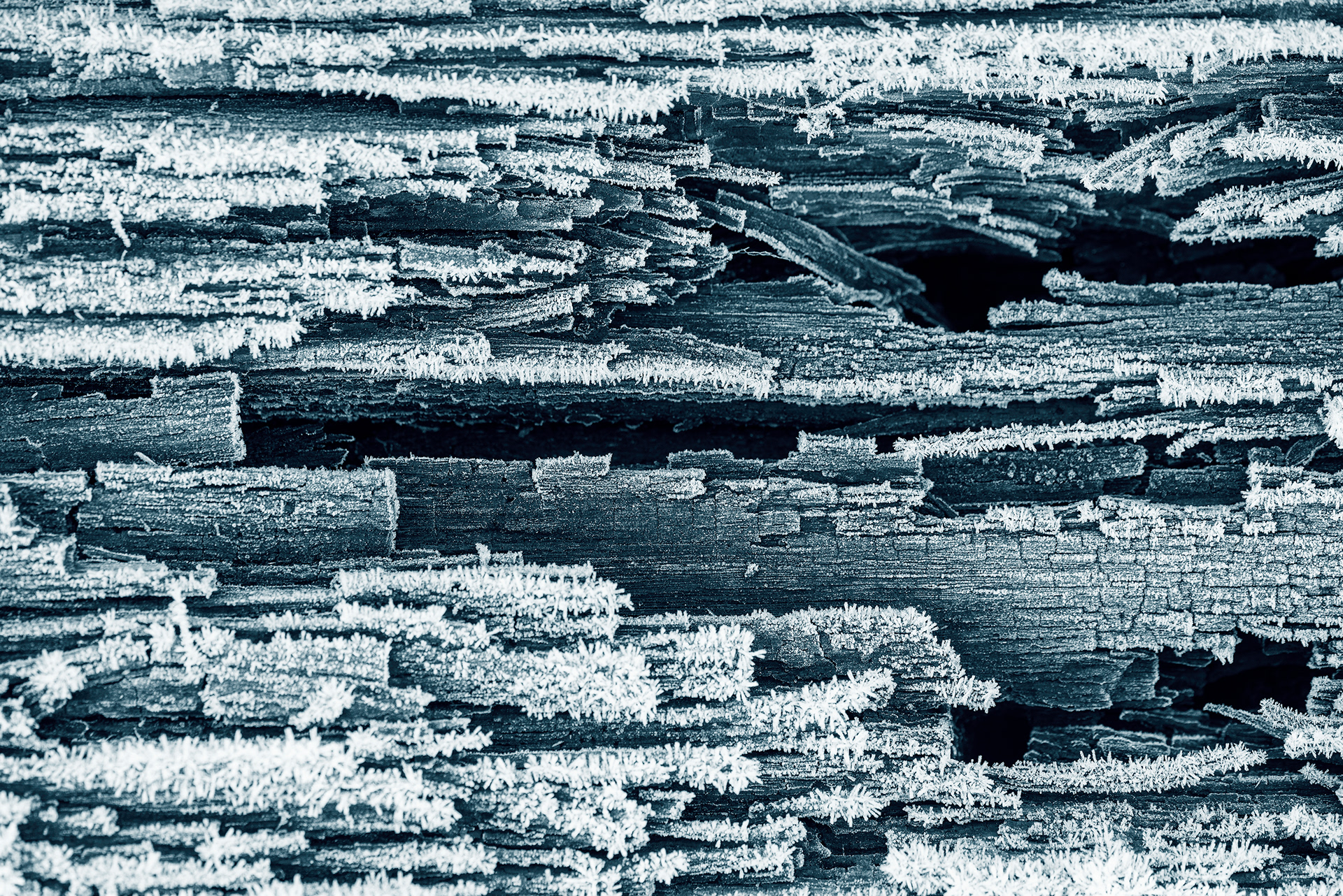 Knoxville, TN (USA).-53