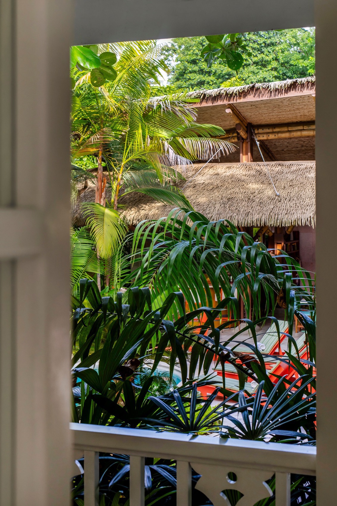 Aguas Claras酒店餐厅和瑜伽馆丨哥斯达黎加丨Studio Saxe-124