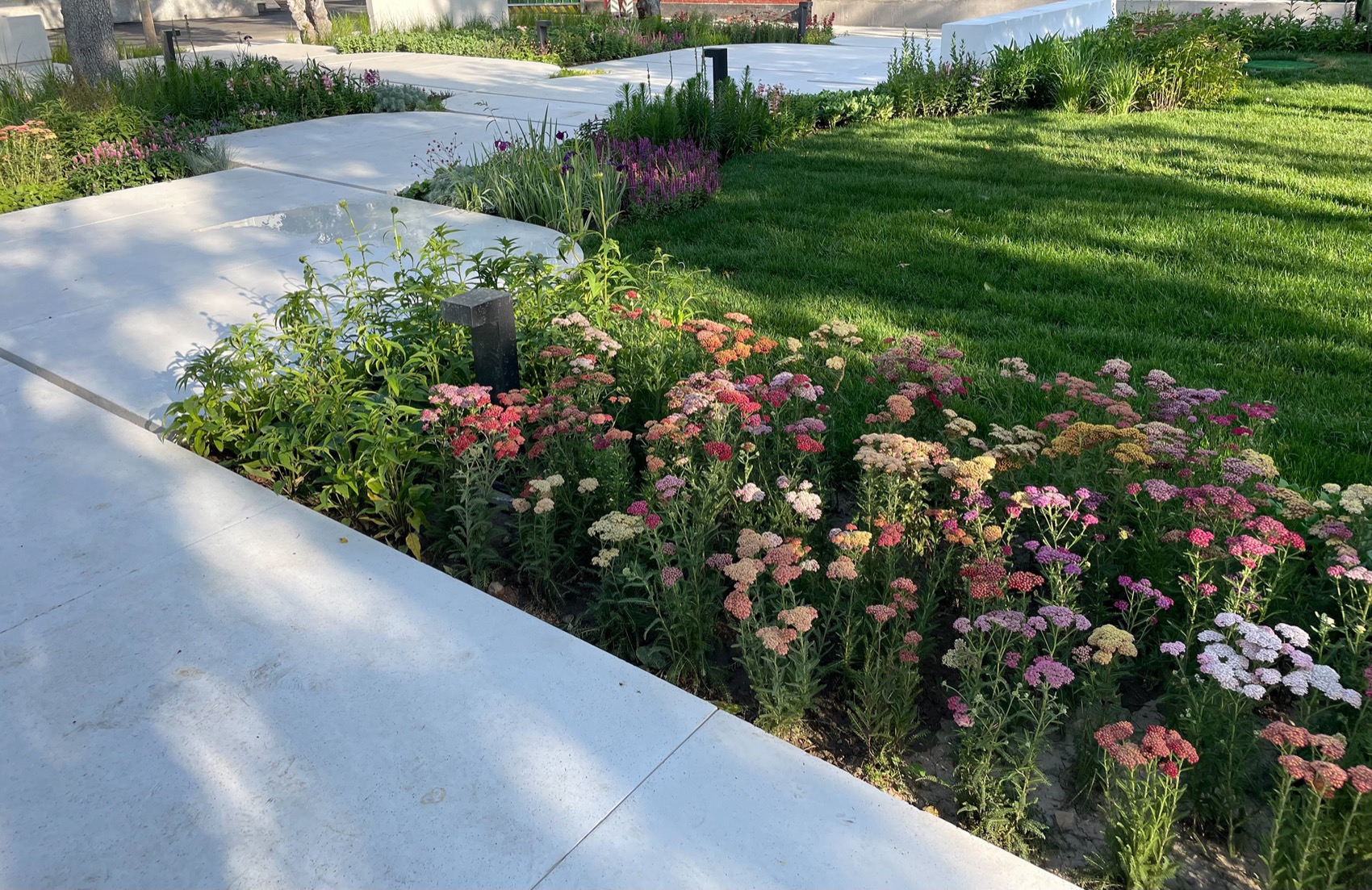 北京市三里屯西五街5号院花园丨中国北京丨OneScape一域景观事务所-122