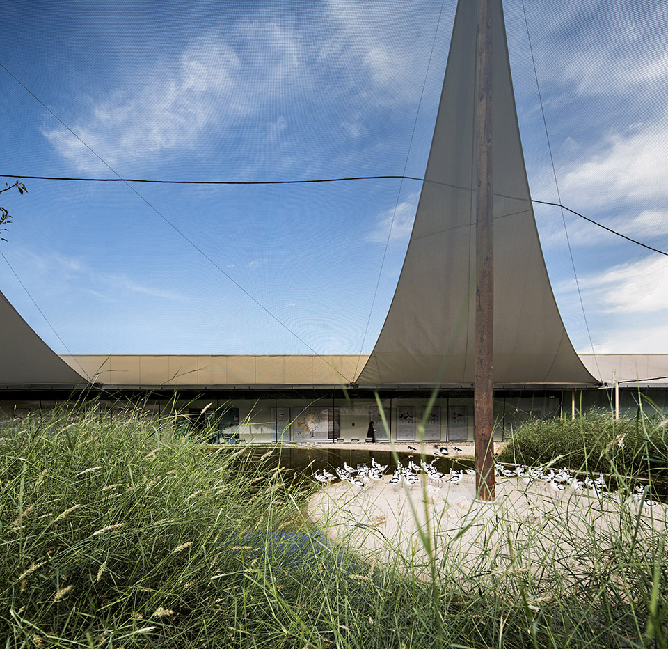 瓦西特自然保护区游客中心,阿联酋 / X Architects-17