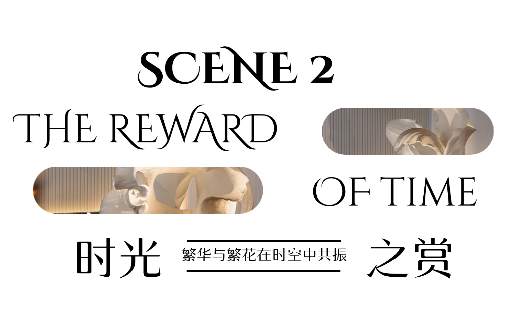 法云设计|上海中环铂樾售楼处：海派重逢，风华绽放！-12