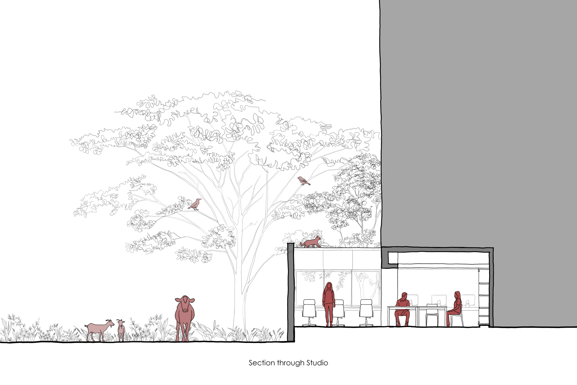 印度 Nasik 办公建筑设计-13