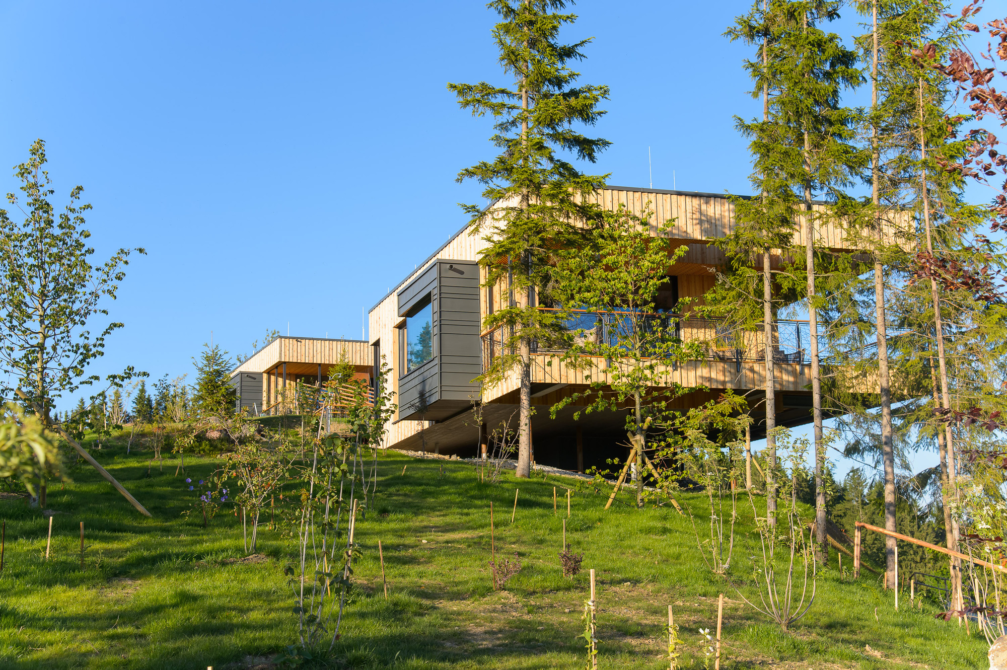 奥地利山景木屋丨Viereck Architects-14