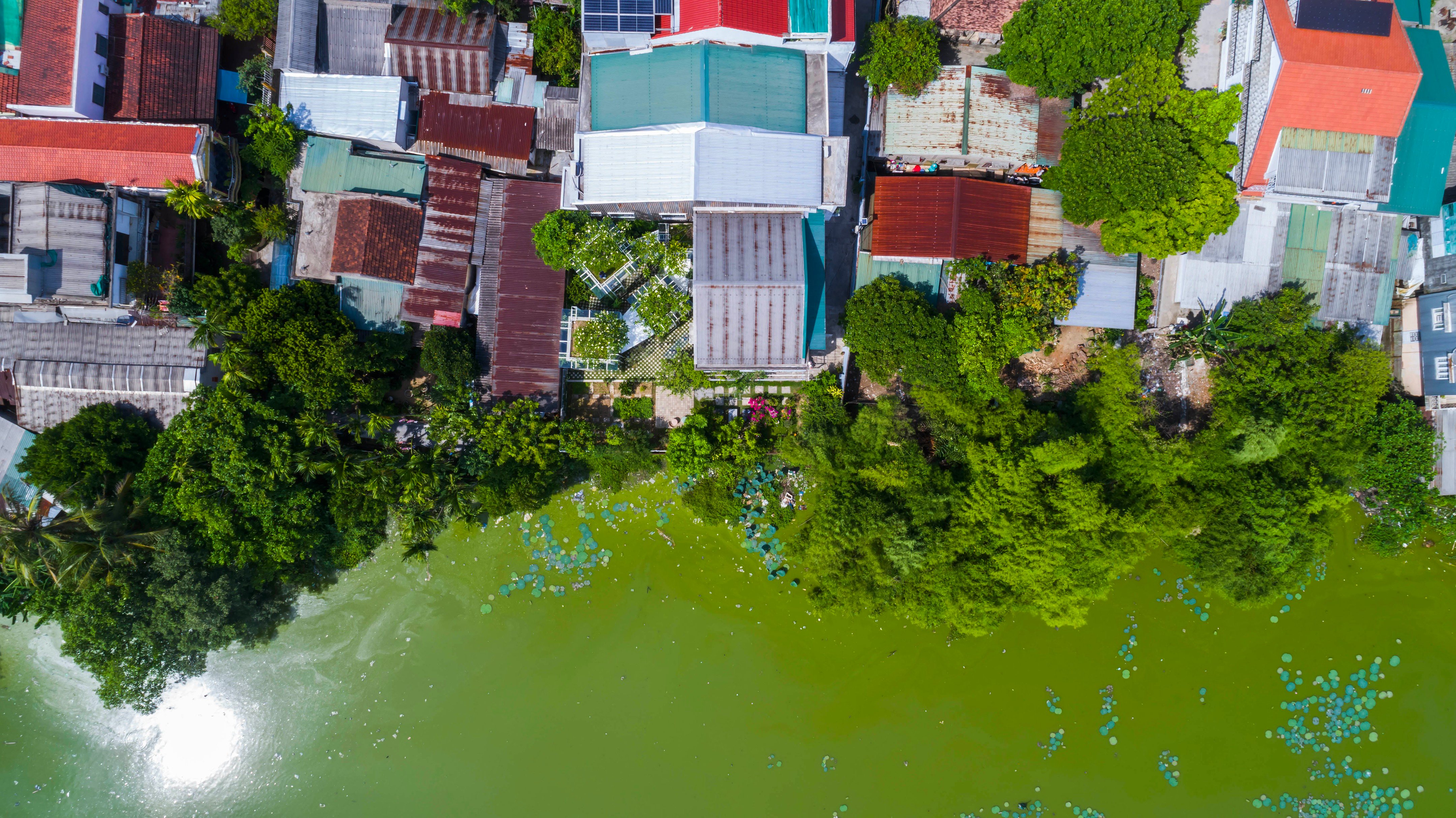 拉布里森林屋丨越南丨Nguyen Khai Architects & Associates-32