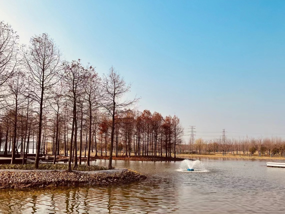 上海沔青公园丨中国上海-9